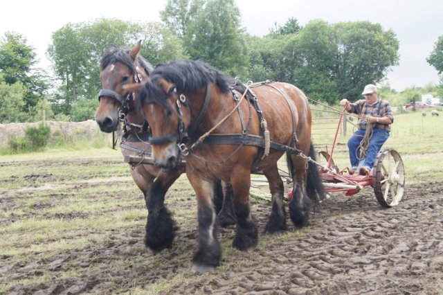 unadjustednonraw_thumb_3636