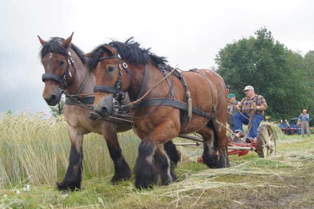 unadjustednonraw_thumb_3637